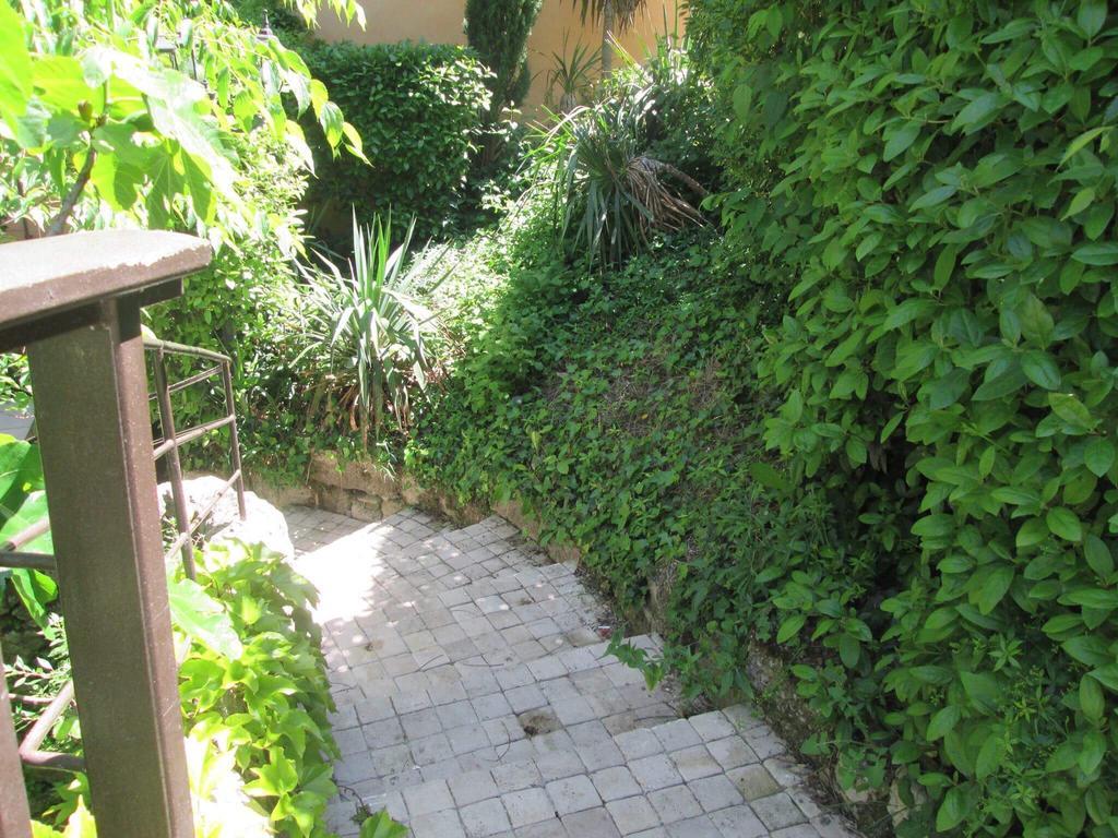Les Chambres Du Moulin A Huile Vaison-la-Romaine Εξωτερικό φωτογραφία